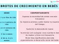 Tabla sobre brotes de crecimiento en bebés. Detalla edad y comportamiento, útil para padres que usan leche de fórmula.