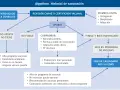 Diagrama de flujo sobre el historial de vacunación de bebés. Muestra el proceso de revisión de certificados y las acciones a seguir según el estado de las vacunas.