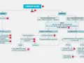 Diagrama de flujo para laringitis aguda en niños. Muestra síntomas y manejo según la gravedad: leve, moderada o grave.