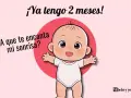 Un bebé de 2 meses sonríe con los brazos abiertos. "¡Ya tengo 2 meses! ¿A que te encanta mi sonrisa?