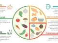 El plato Harvard para niños muestra una dieta equilibrada con frutas, verduras, cereales integrales, proteínas saludables y agua.