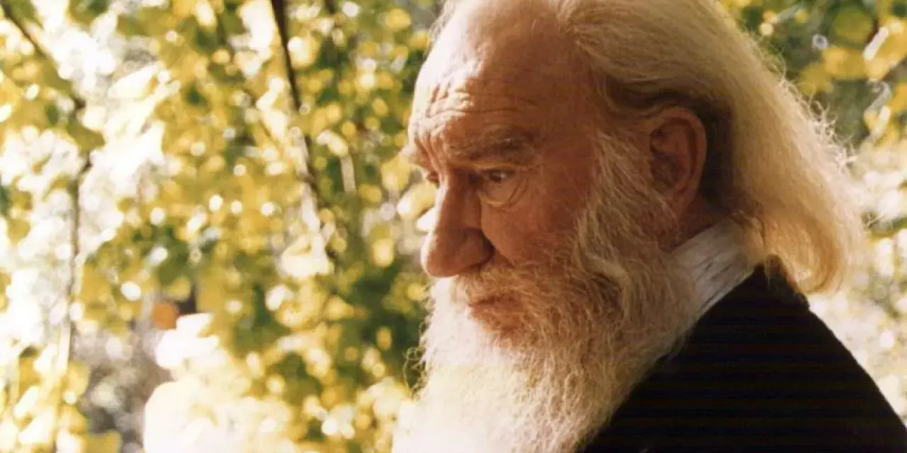 Anciano de barba blanca y larga, con el pelo rubio, reflexiona bajo la luz del sol. Su mirada profunda evoca el significado de Fernando.