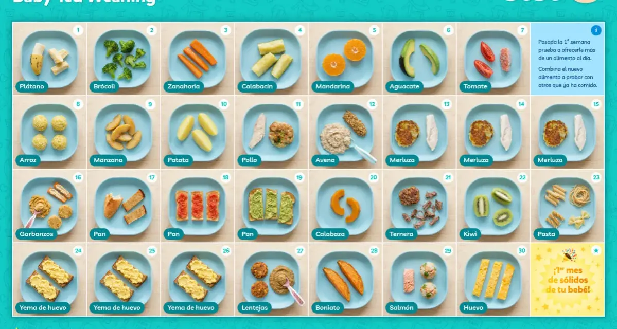 Tabla de introducción de alimentos para baby-led weaning (BLW): qué es y cómo empezar con plátano, brócoli, zanahoria, etc.