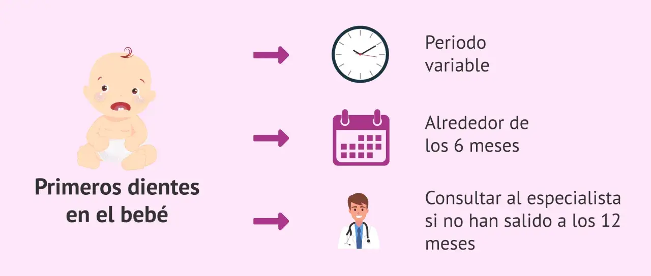 Bebé llorando por sus primeros dientes. Salen alrededor de los 6 meses, pero el periodo es variable. Consulta al especialista si no han salido a los 12 meses.