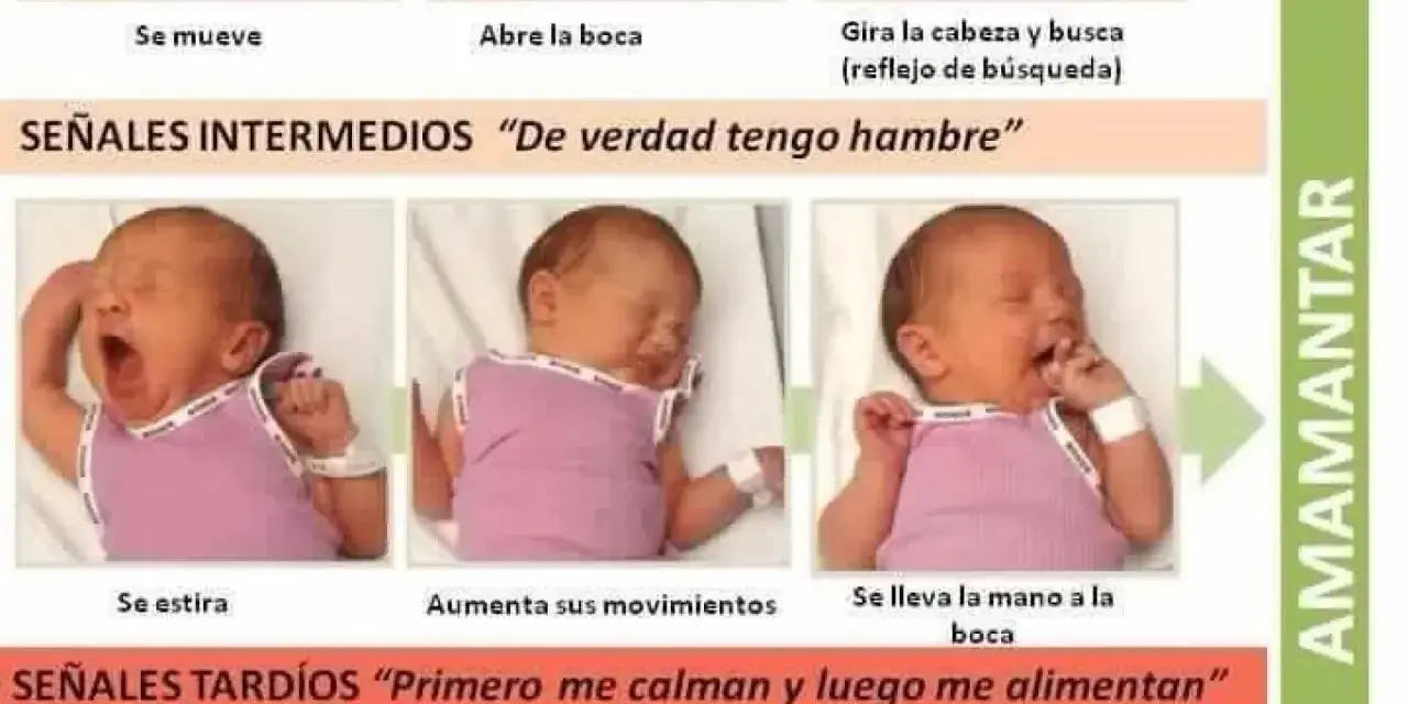 Bebé bosteza y se estira, señales intermedias para saber si mi bebe se queda con hambre. Luego se lleva la mano a la boca.
