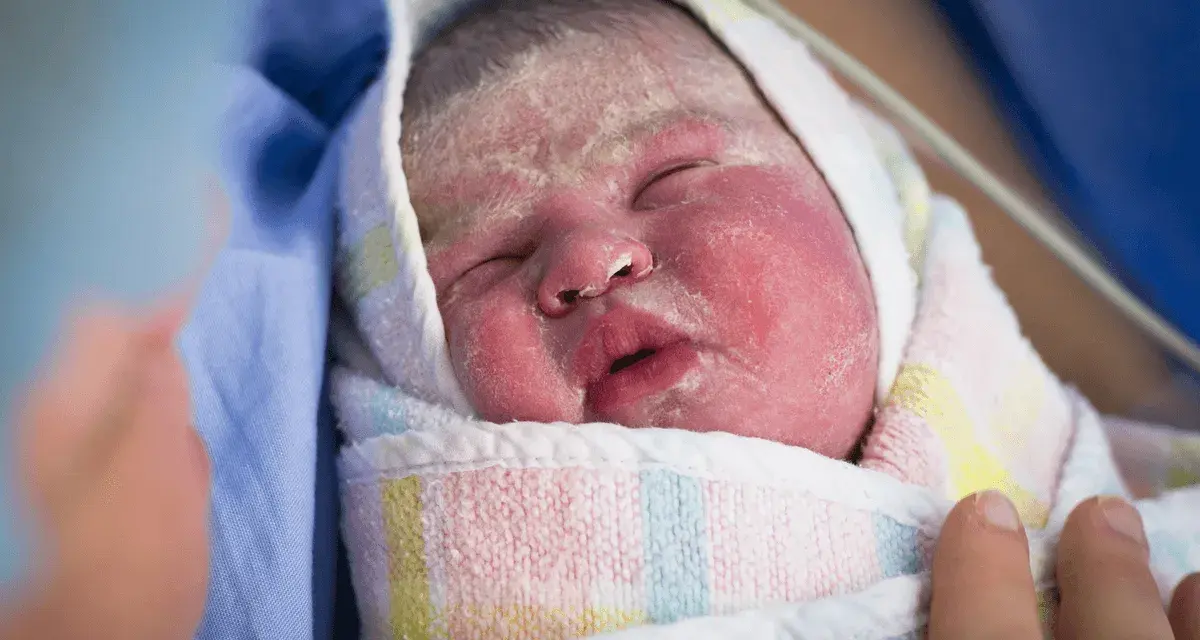 Recién nacido envuelto en una manta, con la piel rosada y cubierta de vernix bebe. Una mano lo acaricia suavemente.