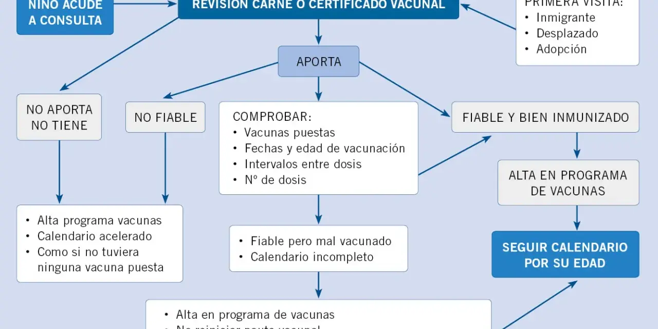 Diagrama de flujo sobre el historial de vacunación de bebés. Muestra el proceso de revisión de certificados y las acciones a seguir según el estado de las vacunas.