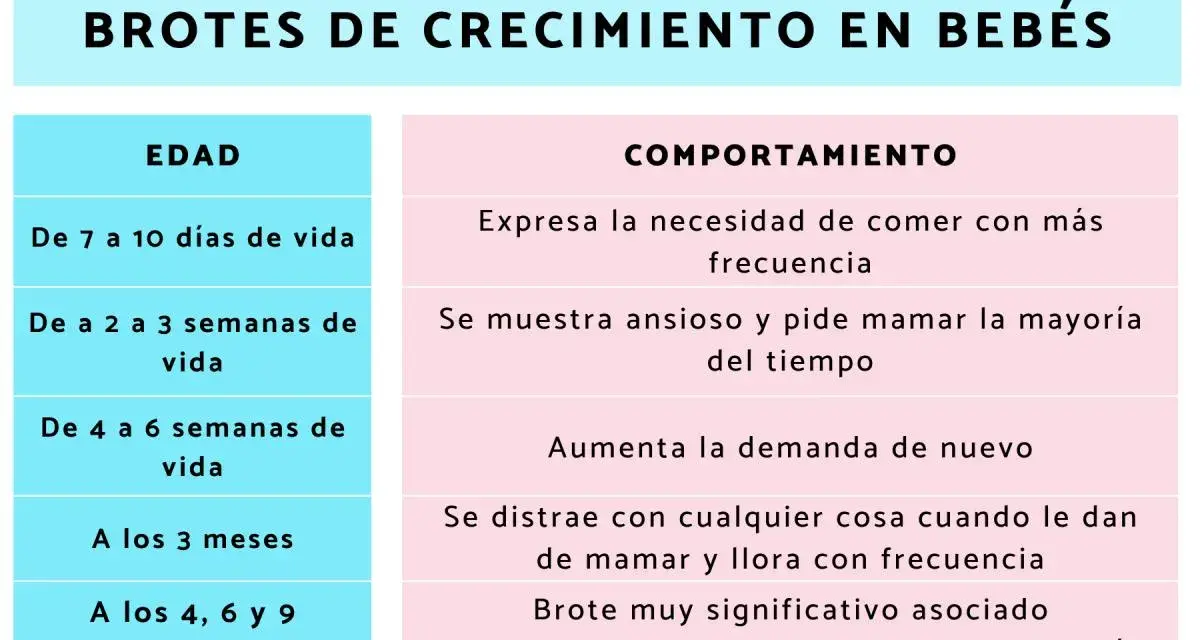 Tabla de brotes de crecimiento en bebés: edades y comportamientos asociados.