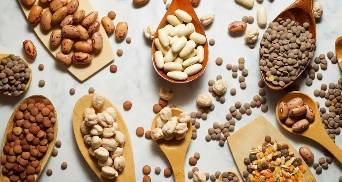 Cucharas de madera repletas de legumbres bebes: lentejas, garbanzos y frijoles de diversos tipos, esparcidos sobre una superficie clara.