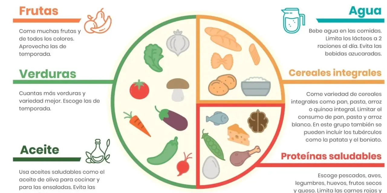 El plato Harvard para niños muestra una dieta equilibrada con frutas, verduras, cereales integrales, proteínas saludables y agua.