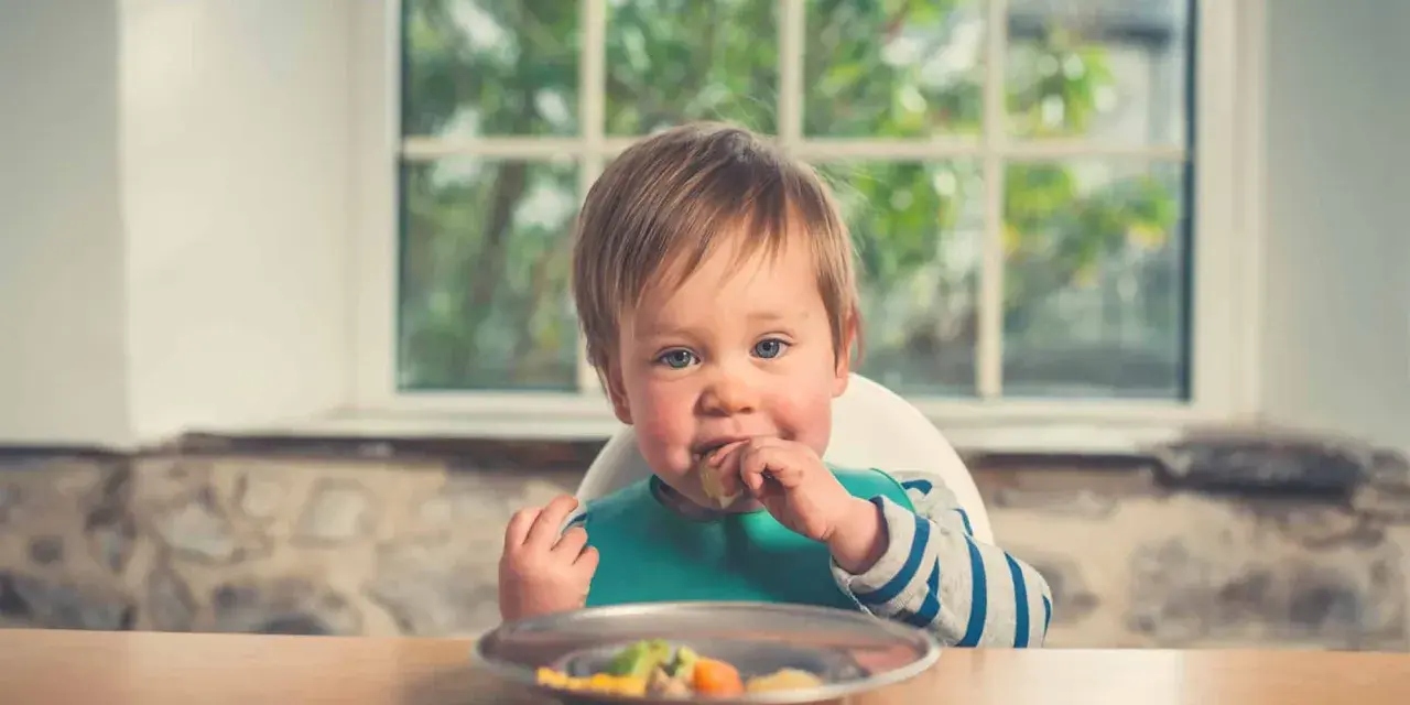 Un bebé con babero verde come felizmente de un plato. Parece que está disfrutando de su comida, quizás marisco para bebés.