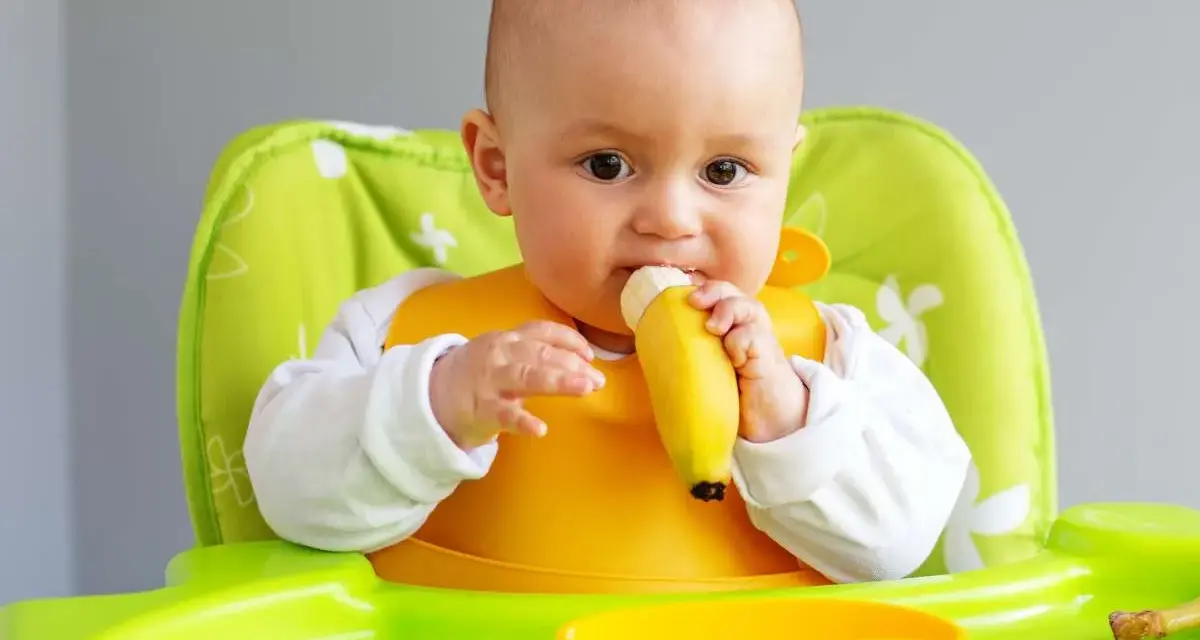 Bebé con babero amarillo comiendo una fruta (plátano) en su trona verde.