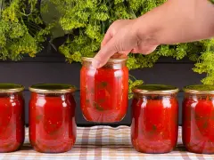 Mano toma un bote de cristal con tomate. Prepara para esterilizar botes cristal microondas.