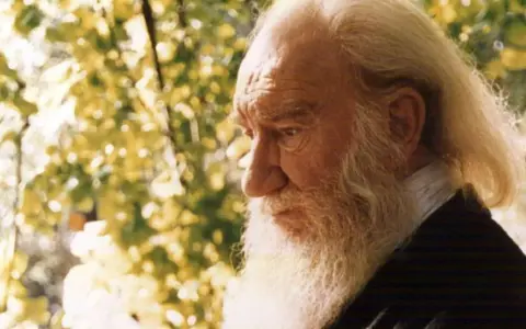 Anciano de barba blanca y larga, con el pelo rubio, reflexiona bajo la luz del sol. Su mirada profunda evoca el significado de Fernando.