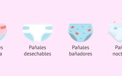 Ilustración de pañales de tela, desechables, bañadores y nocturnos. ¿Cuántos pañales gasta un bebé al día? Varía según el tipo.