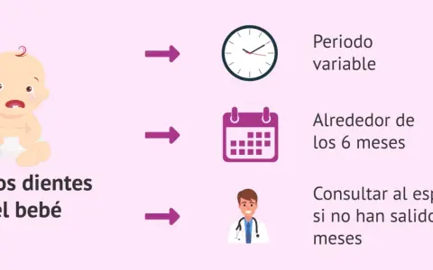 Bebé llorando por sus primeros dientes. Salen alrededor de los 6 meses, pero el periodo es variable. Consulta al especialista si no han salido a los 12 meses.