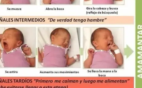 Bebé bosteza y se estira, señales intermedias para saber si mi bebe se queda con hambre. Luego se lleva la mano a la boca.