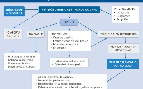 Diagrama de flujo sobre el historial de vacunación de bebés. Muestra el proceso de revisión de certificados y las acciones a seguir según el estado de las vacunas.