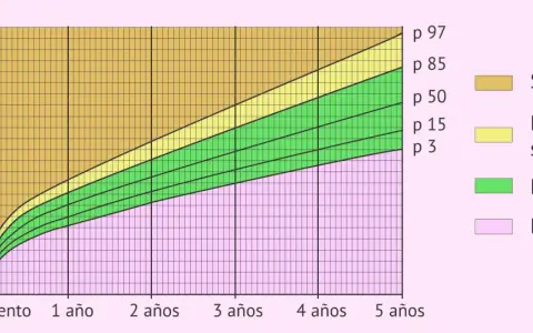 Gráfica de percentil de peso para la edad de un bebé, mostrando categorías de bajo peso, normal, riesgo de sobrepeso y sobrepeso.