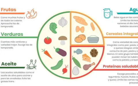 El plato Harvard para niños muestra una dieta equilibrada con frutas, verduras, cereales integrales, proteínas saludables y agua.
