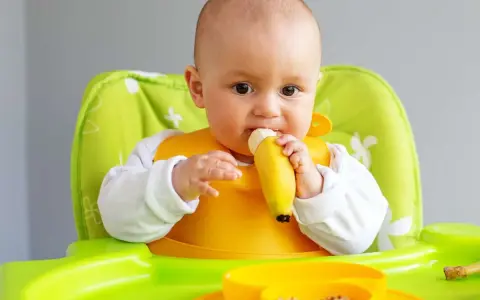 Bebé con babero amarillo comiendo una fruta (plátano) en su trona verde.