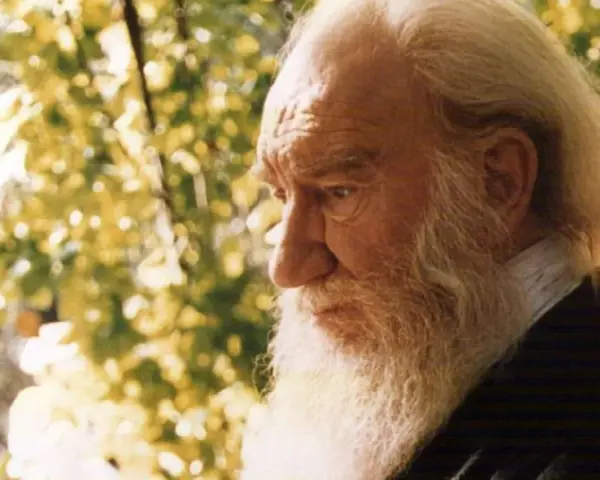 Anciano de barba blanca y larga, con el pelo rubio, reflexiona bajo la luz del sol. Su mirada profunda evoca el significado de Fernando.
