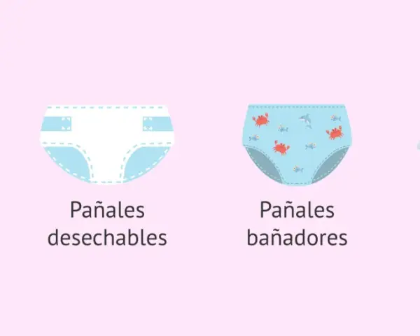 Ilustración de pañales de tela, desechables, bañadores y nocturnos. ¿Cuántos pañales gasta un bebé al día? Varía según el tipo.