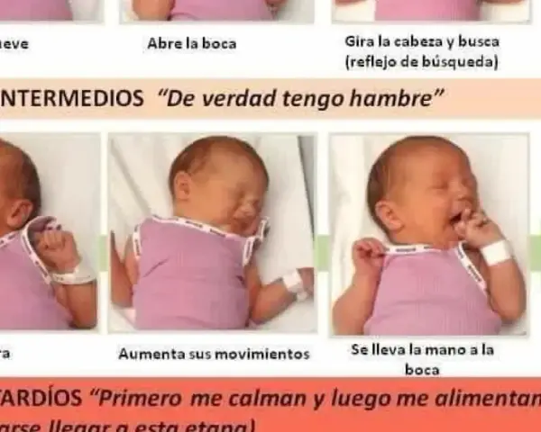 Bebé bosteza y se estira, señales intermedias para saber si mi bebe se queda con hambre. Luego se lleva la mano a la boca.