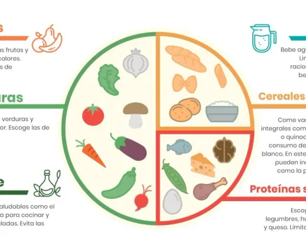 El plato Harvard para niños muestra una dieta equilibrada con frutas, verduras, cereales integrales, proteínas saludables y agua.