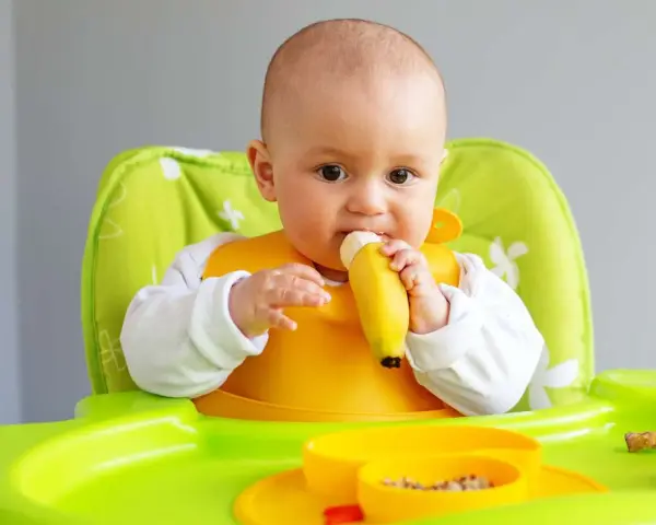Bebé con babero amarillo comiendo una fruta (plátano) en su trona verde.