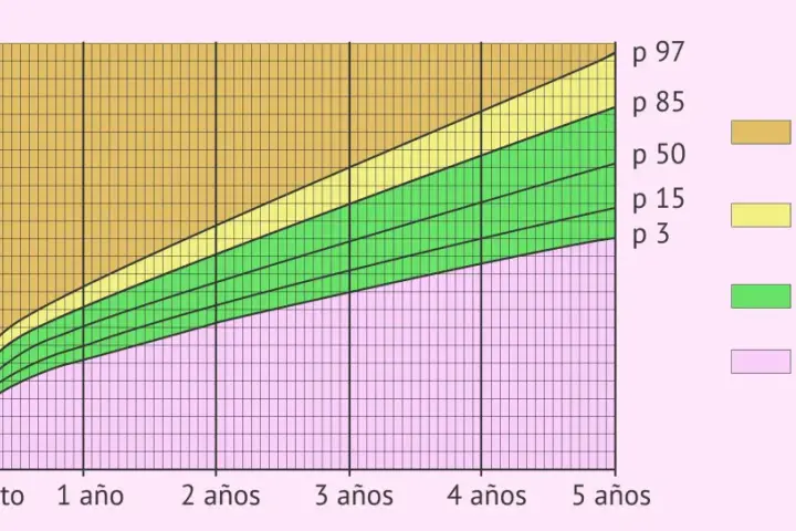 Gráfica de percentil de peso para la edad de un bebé, mostrando categorías de bajo peso, normal, riesgo de sobrepeso y sobrepeso.