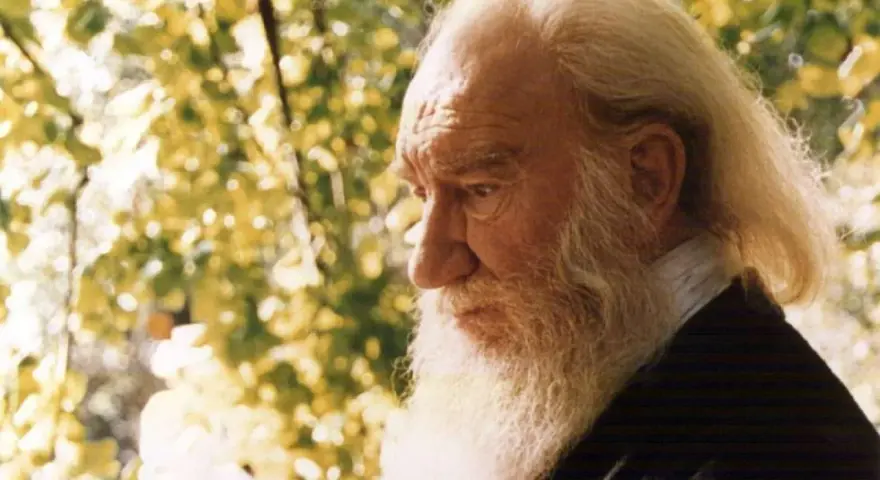 Anciano de barba blanca y larga, con el pelo rubio, reflexiona bajo la luz del sol. Su mirada profunda evoca el significado de Fernando.