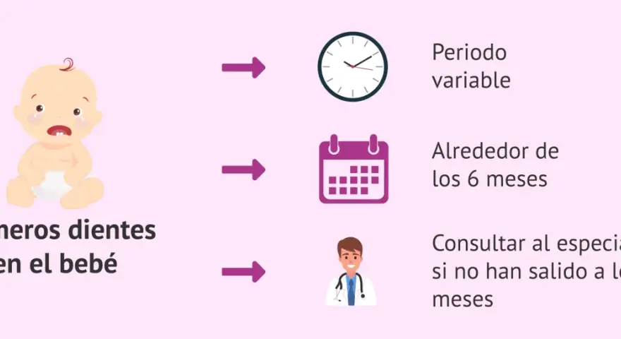Bebé llorando por sus primeros dientes. Salen alrededor de los 6 meses, pero el periodo es variable. Consulta al especialista si no han salido a los 12 meses.