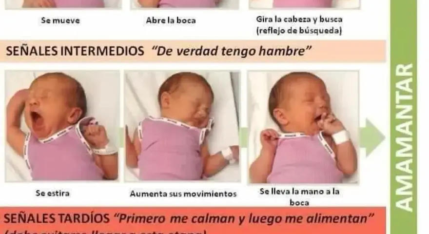 Bebé bosteza y se estira, señales intermedias para saber si mi bebe se queda con hambre. Luego se lleva la mano a la boca.