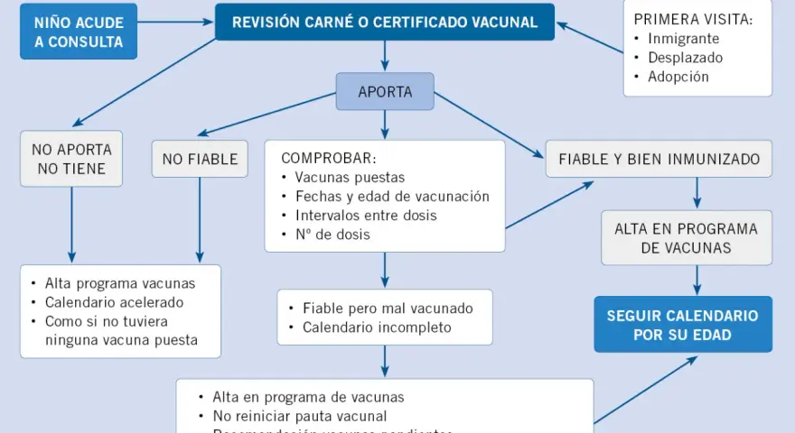 Diagrama de flujo sobre el historial de vacunación de bebés. Muestra el proceso de revisión de certificados y las acciones a seguir según el estado de las vacunas.