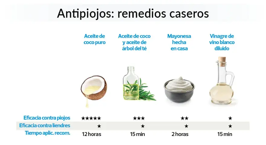 Remedios de la abuela para los piojos: aceite de coco, aceite de árbol de té, mayonesa y vinagre. Se muestran sus eficacias y tiempos de aplicación.