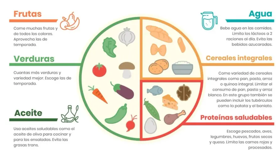 El plato Harvard para niños muestra una dieta equilibrada con frutas, verduras, cereales integrales, proteínas saludables y agua.