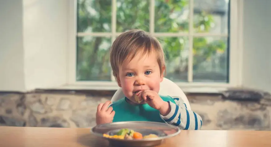 Un bebé con babero verde come felizmente de un plato. Parece que está disfrutando de su comida, quizás marisco para bebés.