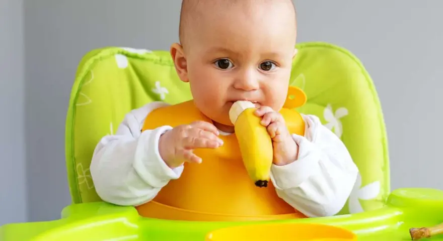 Bebé con babero amarillo comiendo una fruta (plátano) en su trona verde.