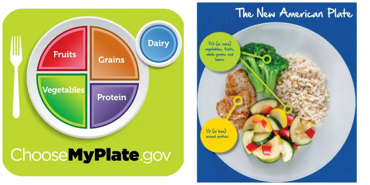Gu&iacute;a visual del plato saludable para ni&ntilde;os, mostrando porciones de frutas, verduras, granos y prote&iacute;nas.