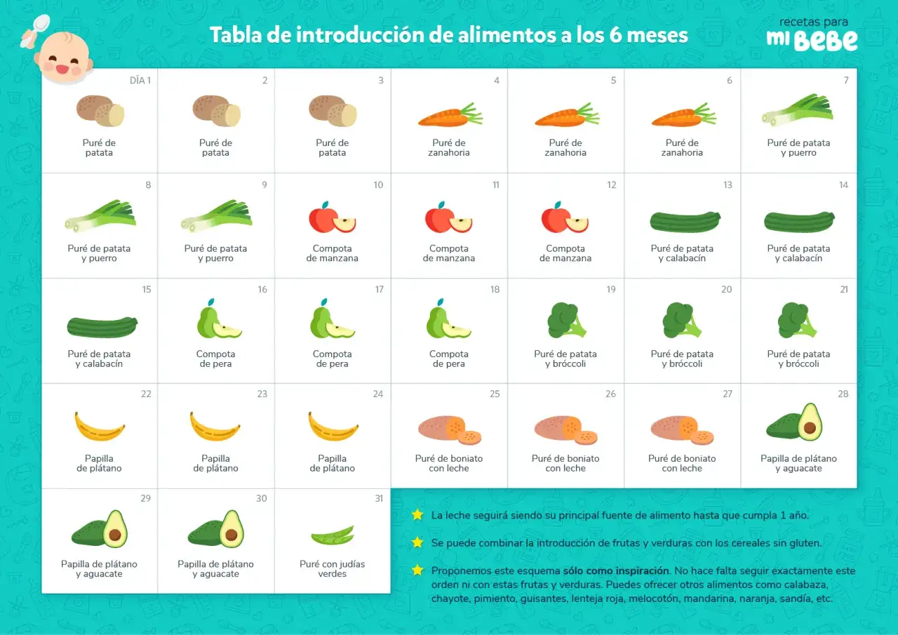 Tabla de introducci&oacute;n de alimentos para beb&eacute; de 4 meses: pur&eacute; de patata, zanahoria, manzana, pera, calabac&iacute;n, br&oacute;coli, boniato, pl&aacute;tano, aguacate y jud&iacute;as verdes.