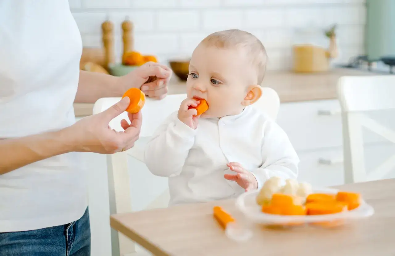 Un beb&eacute; adorable prueba un trozo de fruta naranja mientras su madre le ofrece otro.
