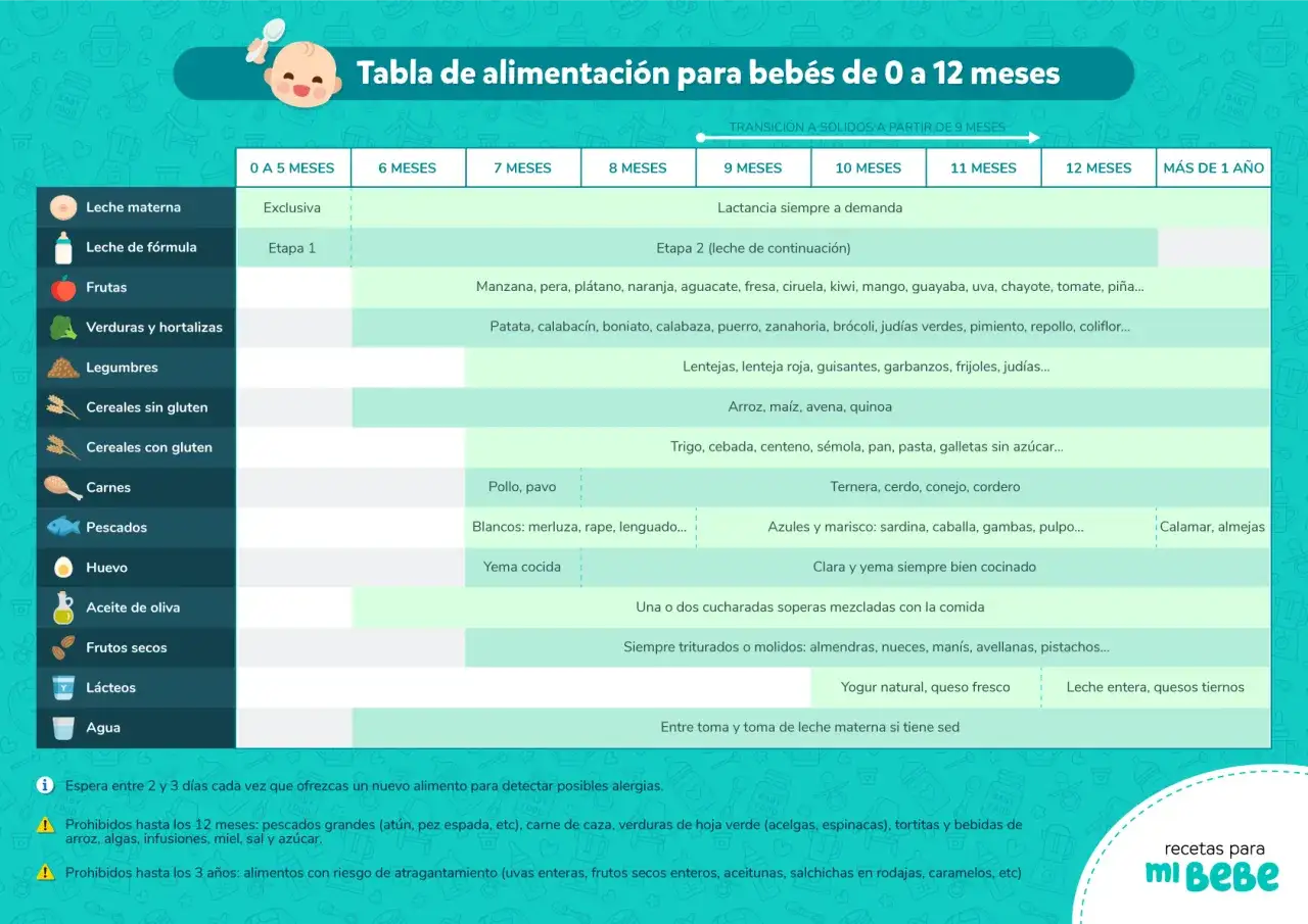 Tabla de alimentaci&oacute;n complementaria para beb&eacute;s de 0 a 12 meses, con alimentos recomendados por edad.