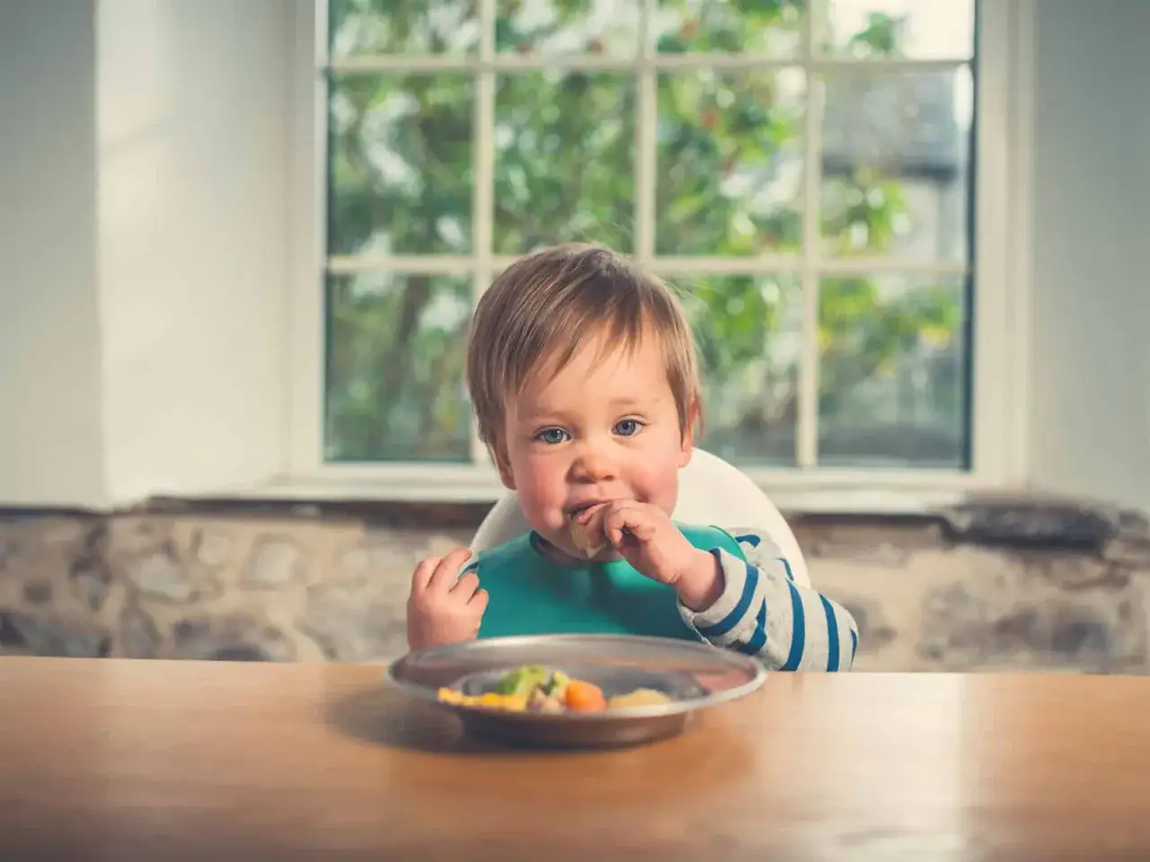 Un beb&eacute; con babero verde prueba un trozo de comida de su plato. Parece que est&aacute; disfrutando de su comida, quiz&aacute;s un poco de marisco para beb&eacute;s.