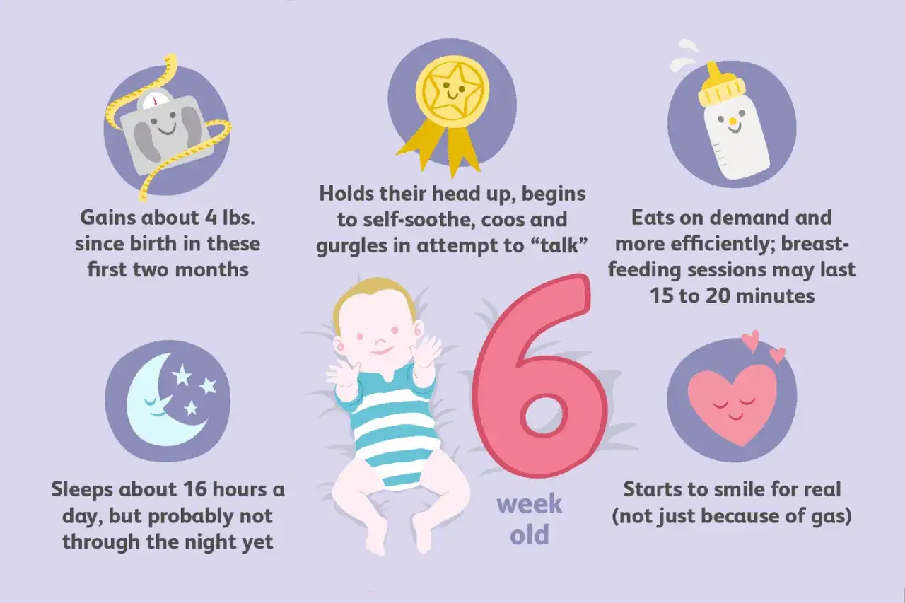 Ilustración de los brotes de crecimiento de un bebé de 6 semanas: gana peso, levanta la cabeza, come eficientemente, duerme mucho y sonríe.