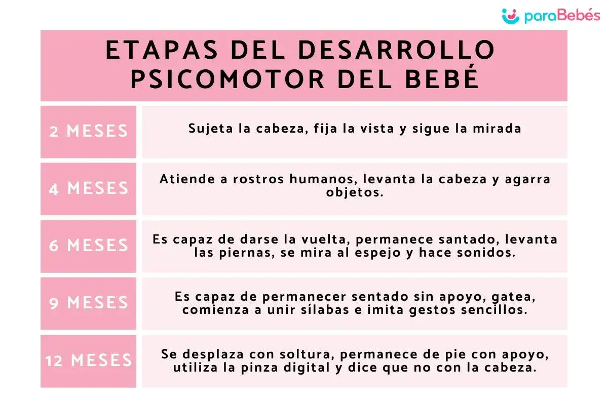 Tabla de desarrollo psicomotor del beb&eacute;. A los 12 meses, el beb&eacute; se desplaza, se pone de pie con apoyo y dice 
