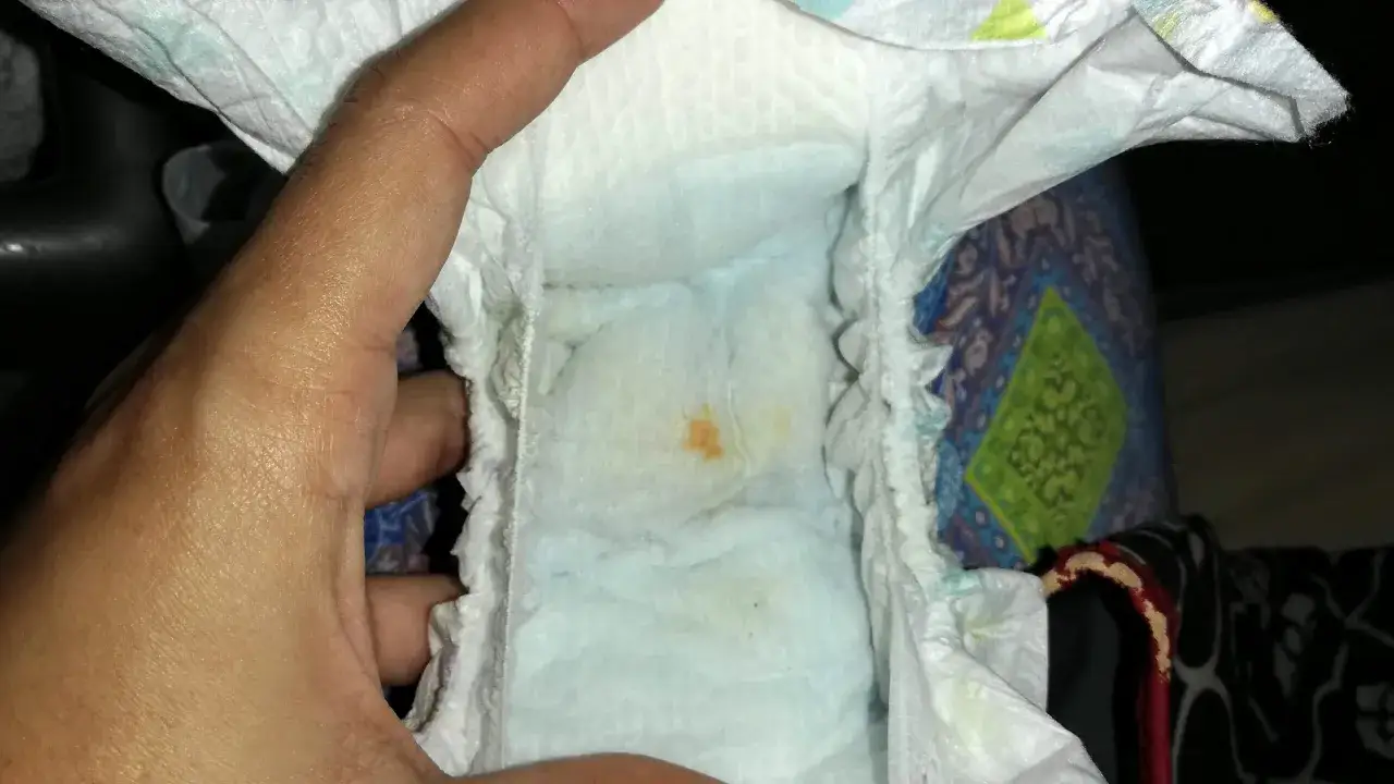 Pa&ntilde;al de beb&eacute; con peque&ntilde;as manchas anaranjadas. &iquest;Por qu&eacute; un beb&eacute; reci&eacute;n nacido no orina? La respuesta est&aacute; en su dieta l&iacute;quida.