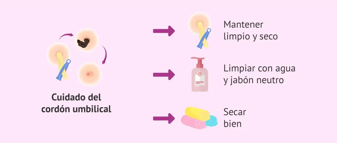Ilustraci&oacute;n sobre el cuidado del cord&oacute;n umbilical: mantenerlo limpio y seco, limpiarlo con agua y jab&oacute;n neutro, y secarlo bien.
