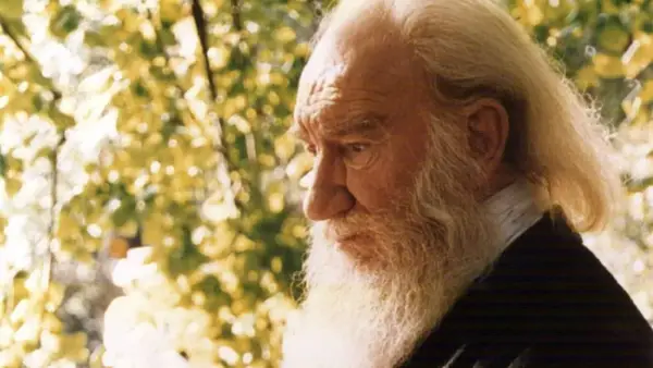 Anciano de barba blanca y larga, con el pelo rubio, reflexiona bajo la luz del sol. Su mirada profunda evoca el significado de Fernando.